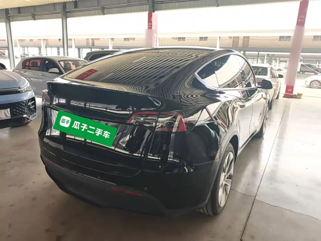 Tesla Model Y — миниатюра 7