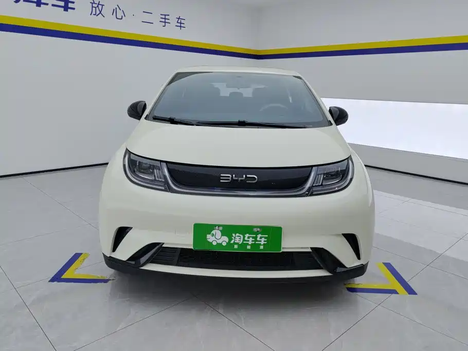 BYD Dolphin — миниатюра 2