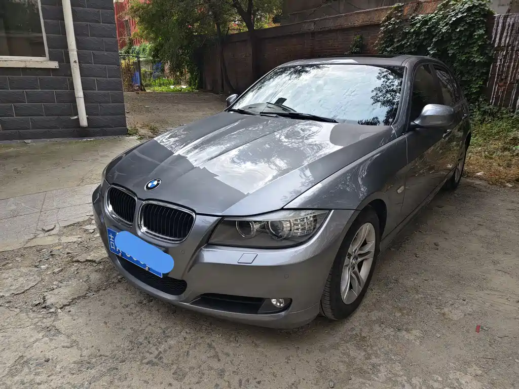 BMW 3 Series (Import) 2010