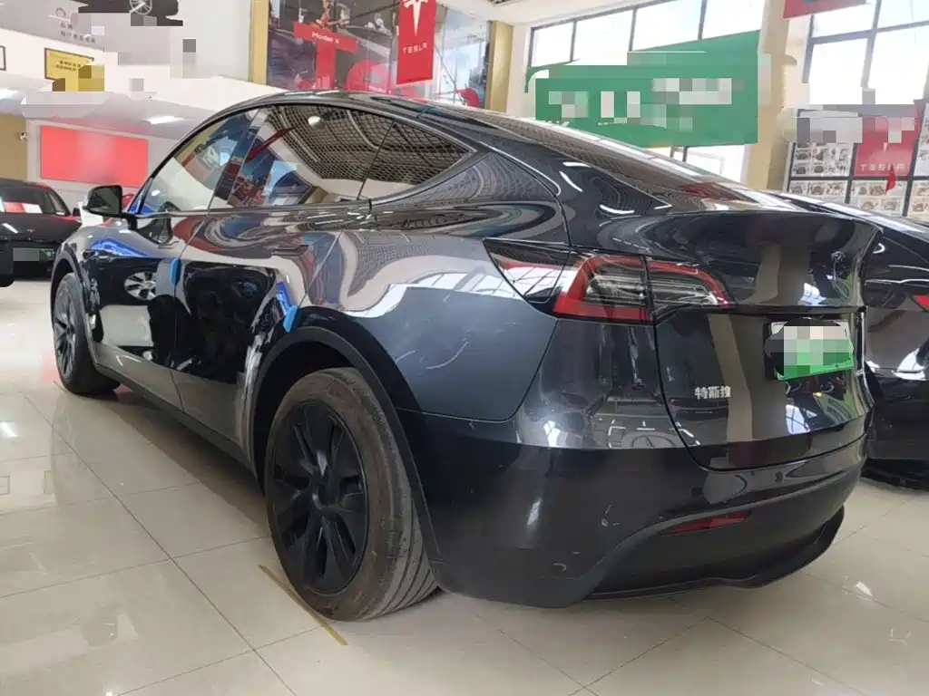 Tesla Model Y — миниатюра 5