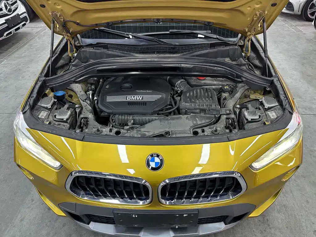 BMW X2 (Import) — миниатюра 18