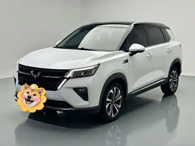 2024 Wuling Motors Asta