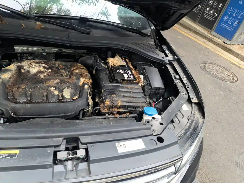 Volkswagen Tiguan L — миниатюра 21