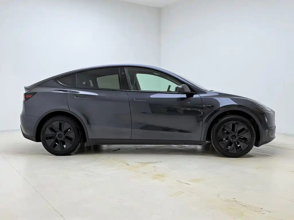 Tesla Model Y — миниатюра 4
