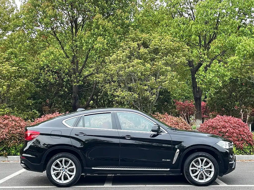 BMW X6 2017 xDrive35i Lead