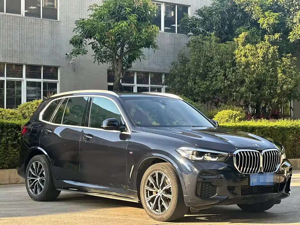 BMW X5 2021 xDrive30i M Sport