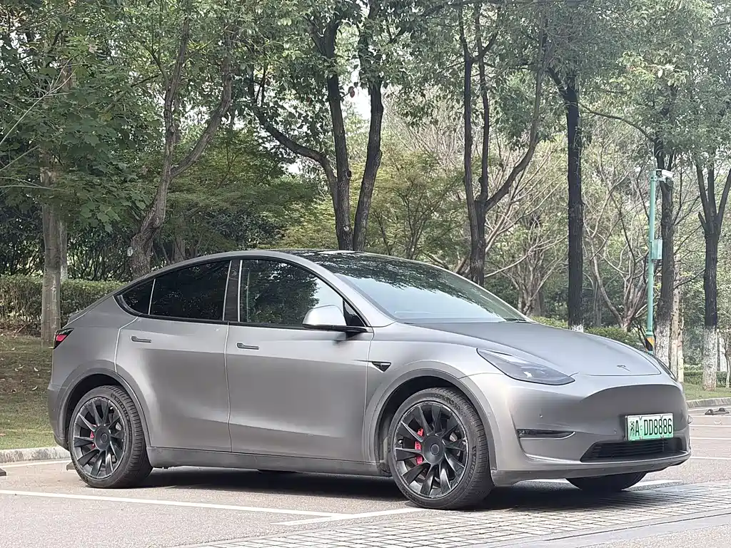 Tesla Model Y — миниатюра 2
