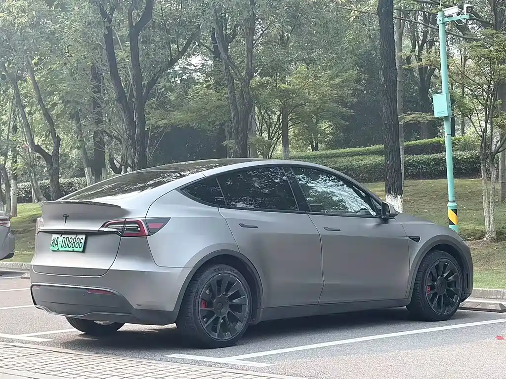 Tesla Model Y — миниатюра 7