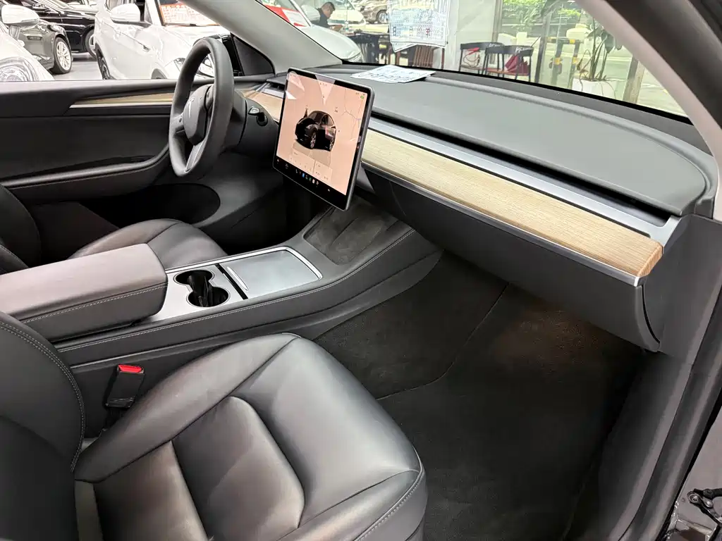 Tesla Model Y — миниатюра 12