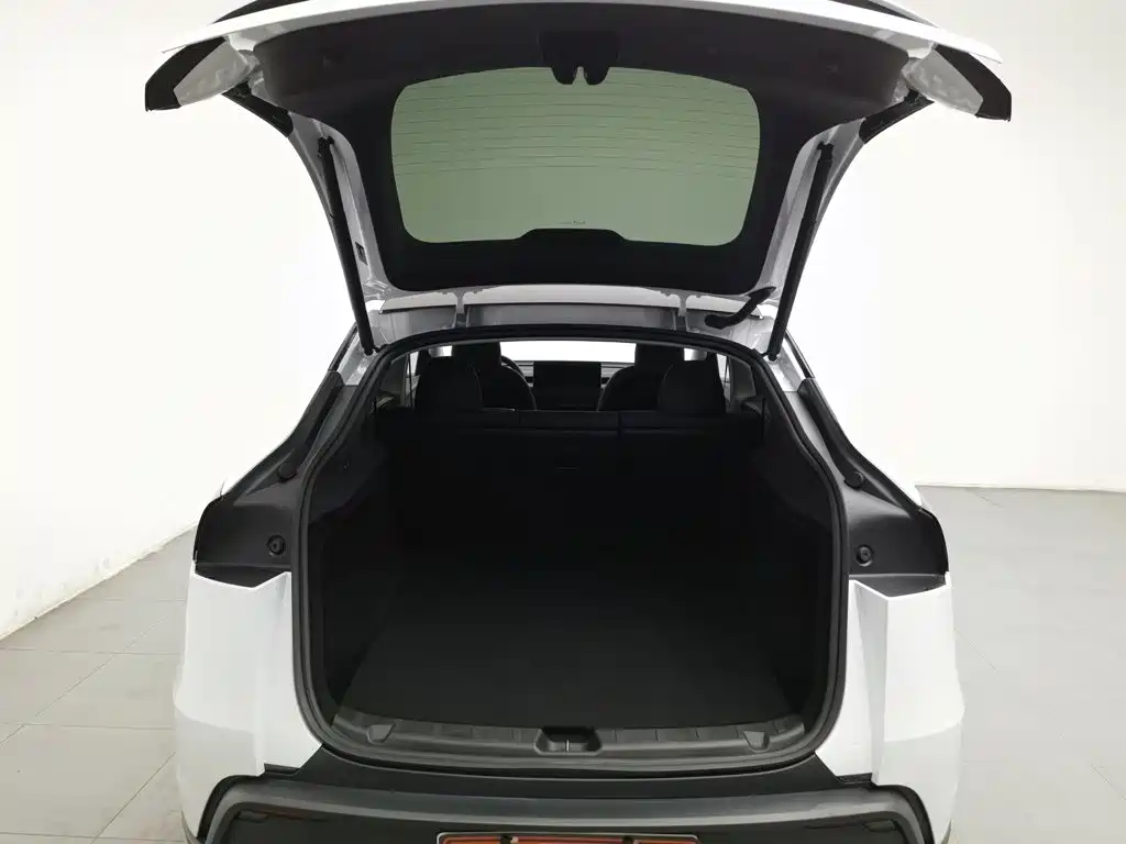 Tesla Model Y — миниатюра 16