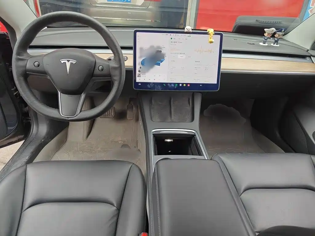 Tesla Model 3 — миниатюра 13