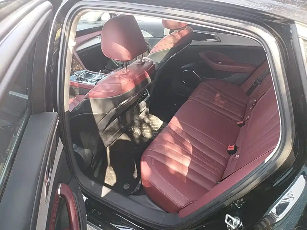 Hongqi Hongqi H5 PHEV — миниатюра 17