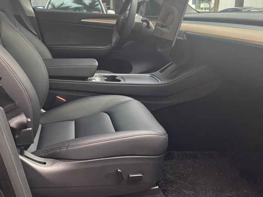 Tesla Model Y — миниатюра 11