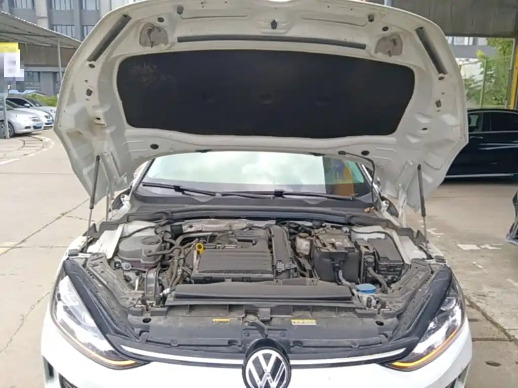 Volkswagen Lamando — миниатюра 20