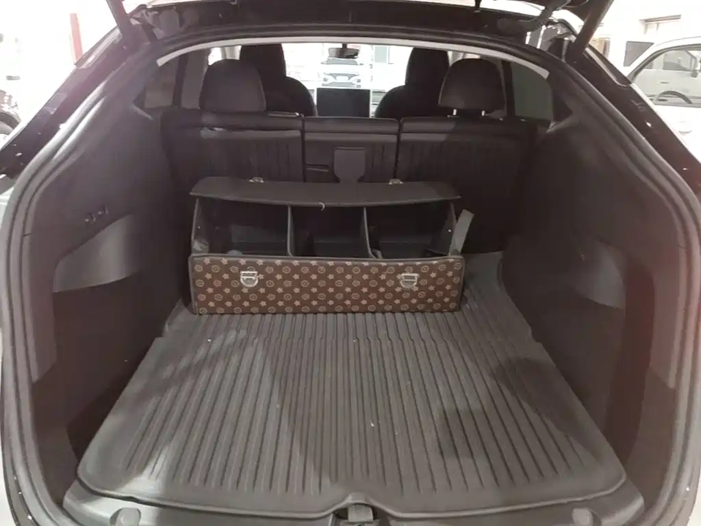 Tesla Model Y — миниатюра 19