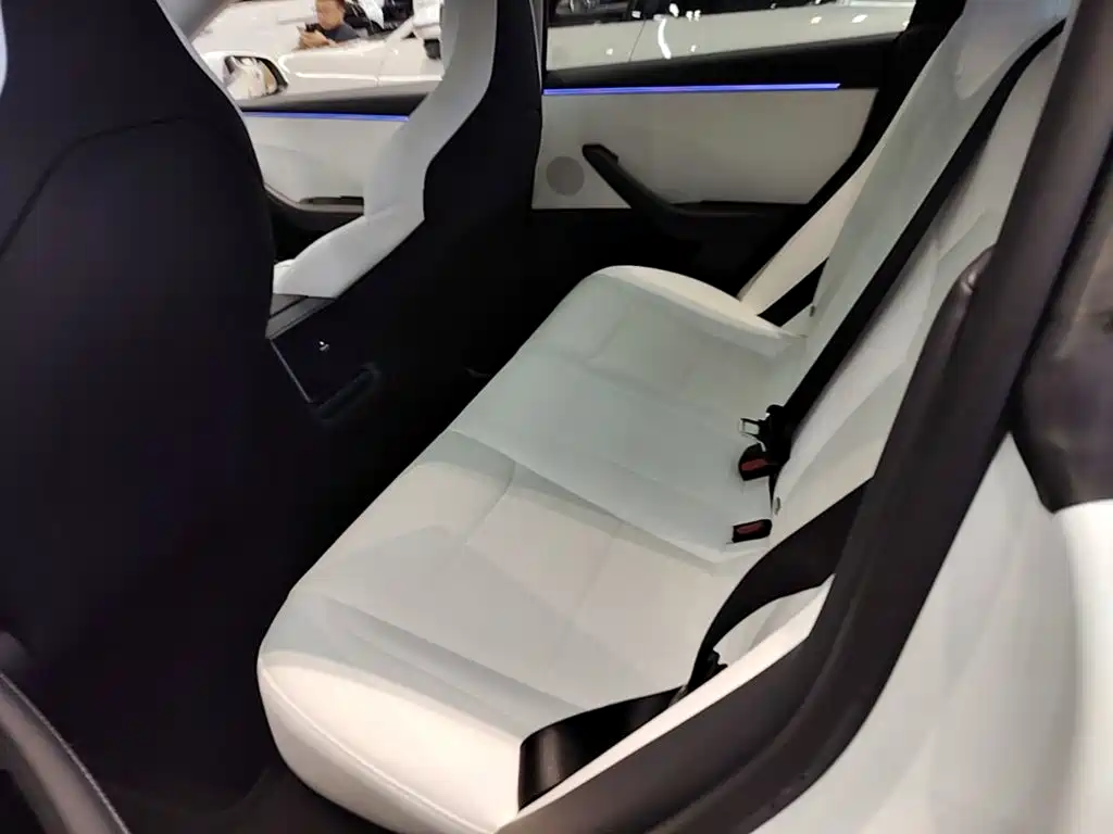 Tesla Model 3 — миниатюра 17