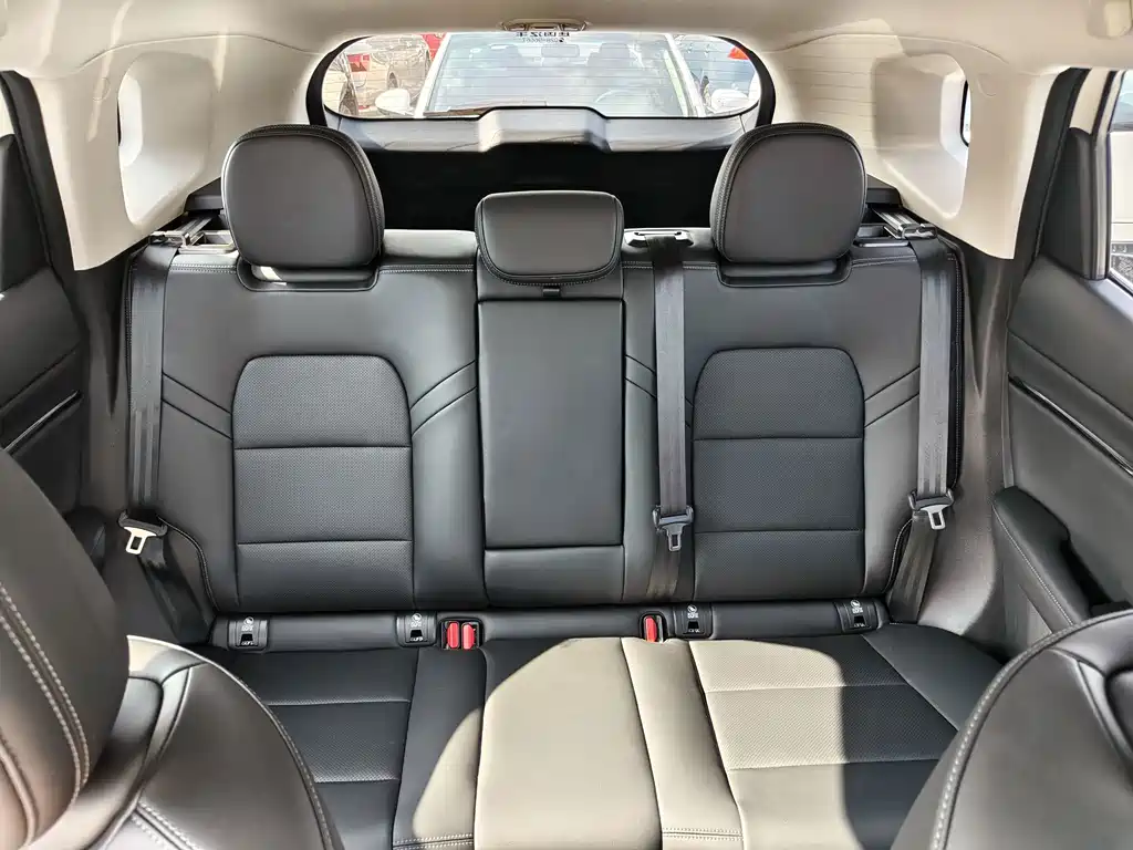 Haval Big Dog PLUS — миниатюра 12