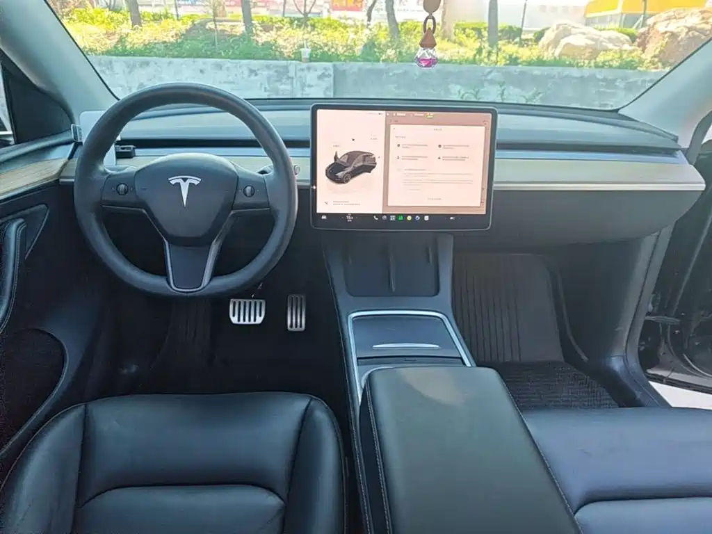 Tesla Model Y — миниатюра 6