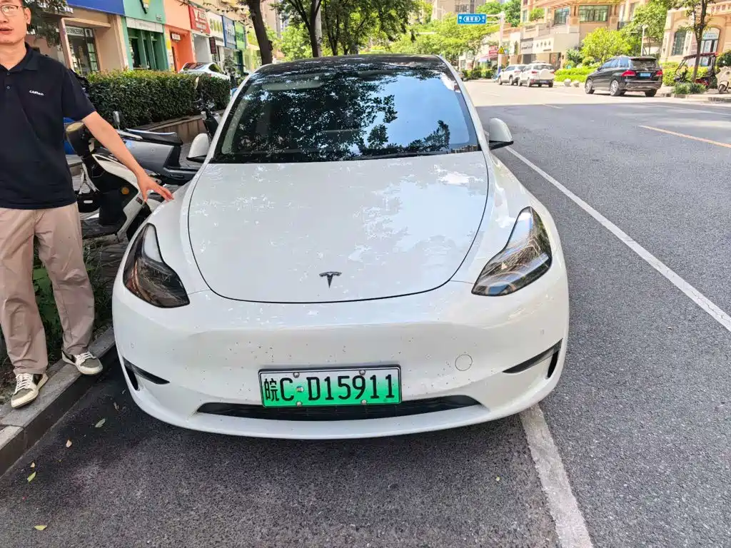 Tesla Model Y — миниатюра 4