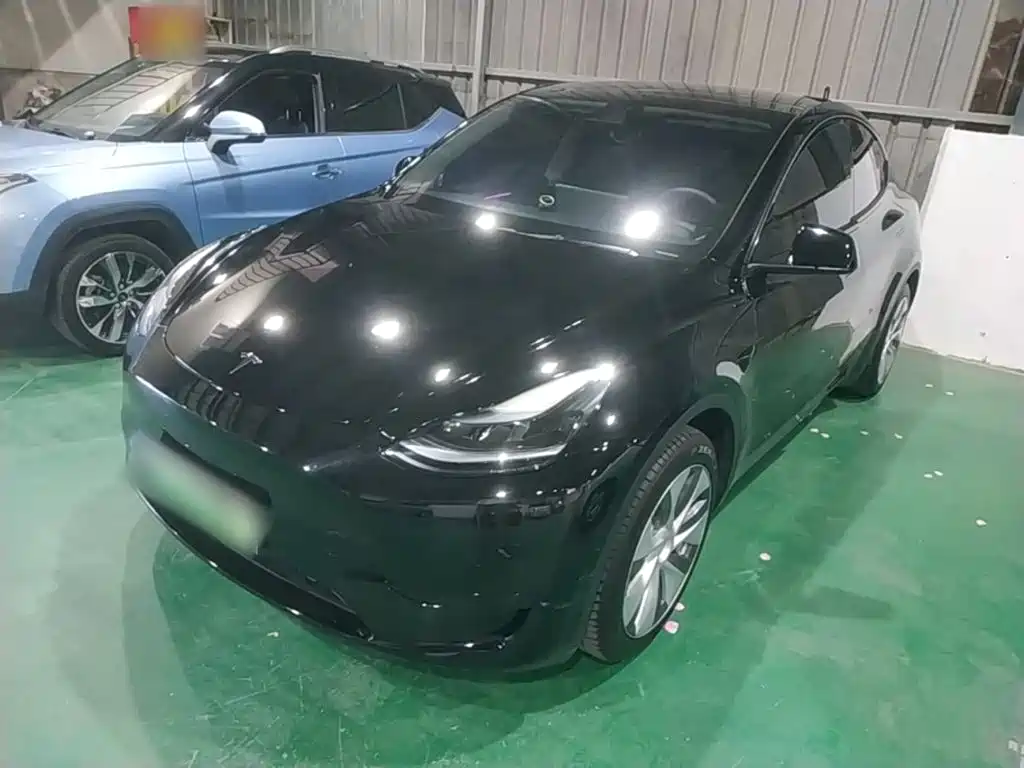 Tesla Model Y — миниатюра 2