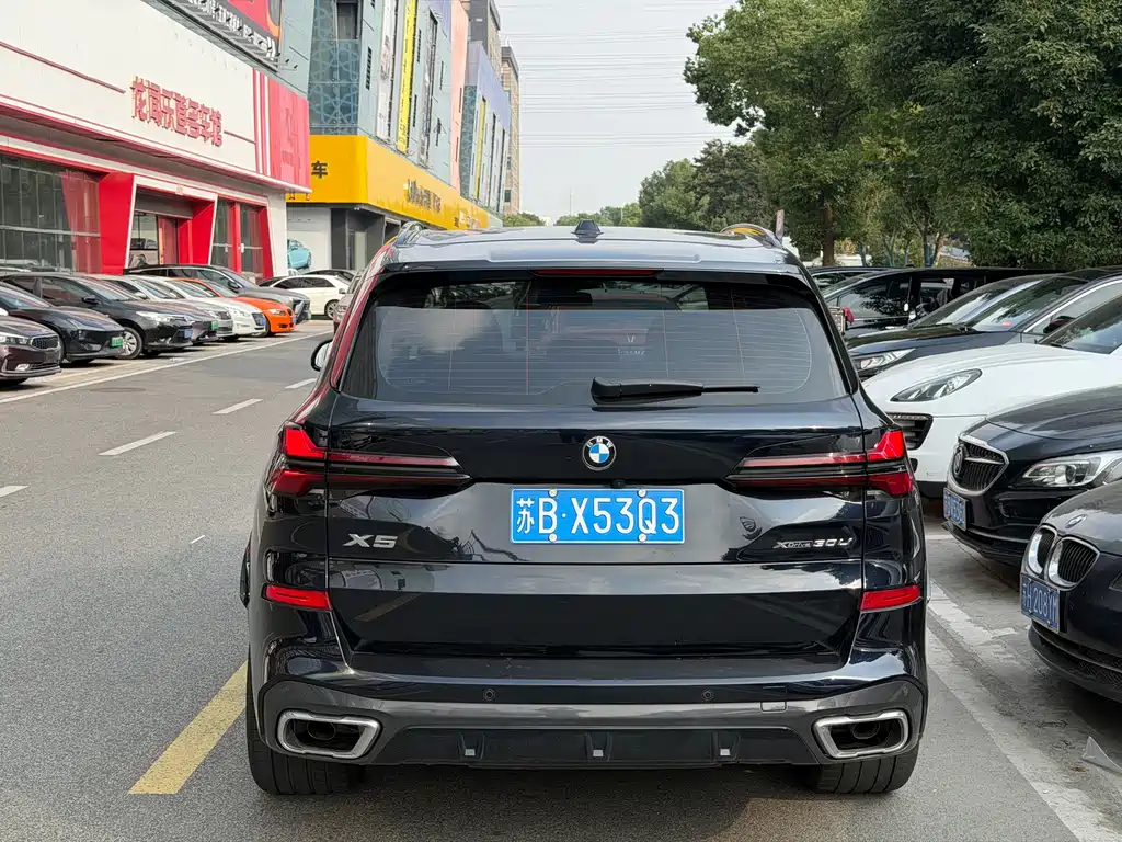BMW X5 — миниатюра 6
