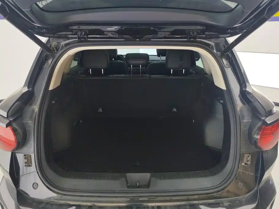 Haval Big Dog PLUS — миниатюра 4