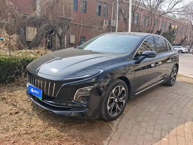 Hongqi HONGQI E QM5 2022