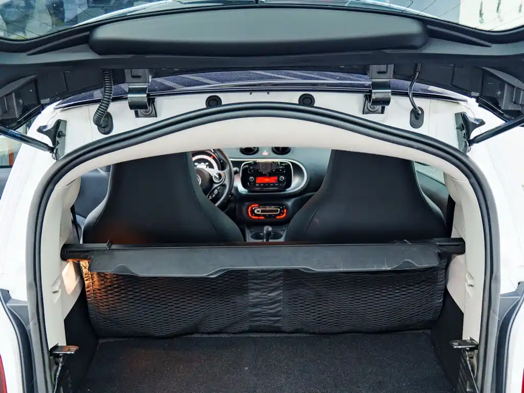 smart Smart Fortwo — миниатюра 13