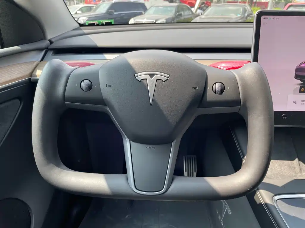 Tesla Model Y — миниатюра 19