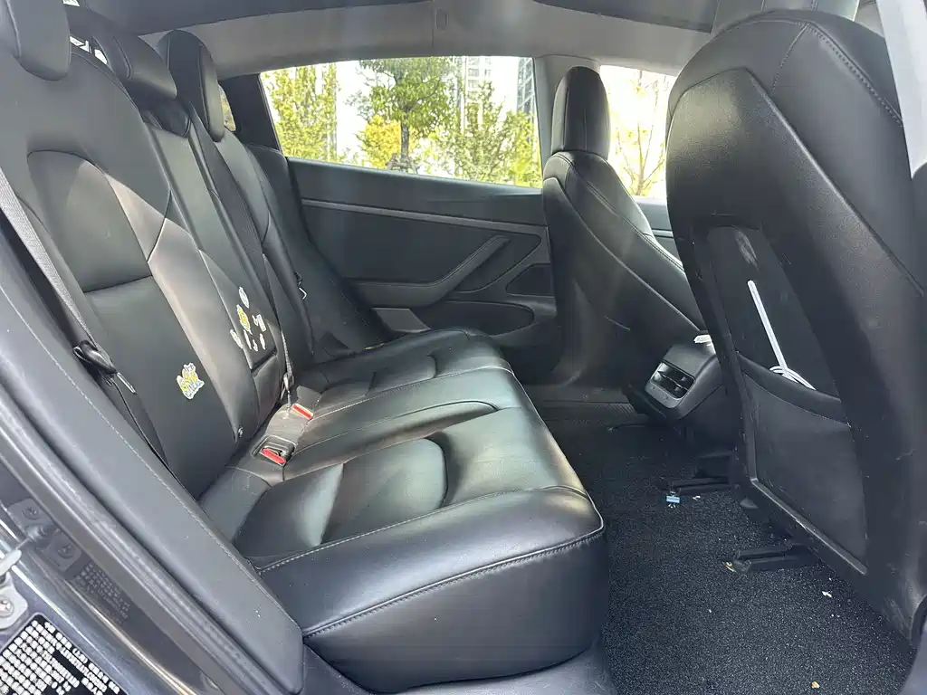 Tesla Model 3 — миниатюра 13