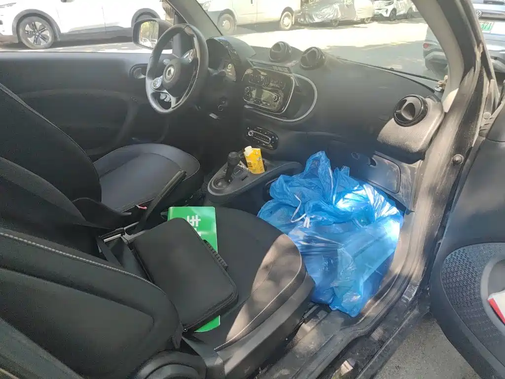 smart Smart Fortwo — миниатюра 19