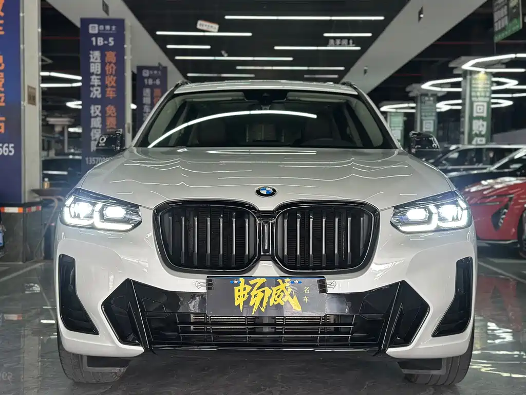 BMW X3 — миниатюра 2