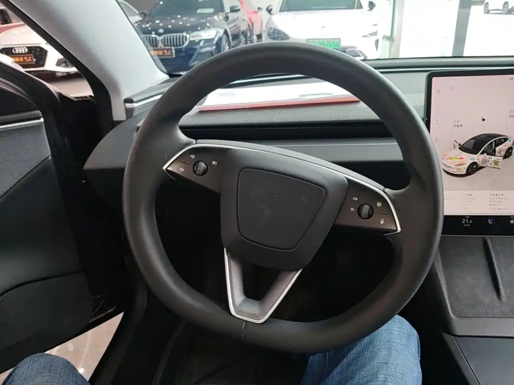 Tesla Model 3 — миниатюра 11