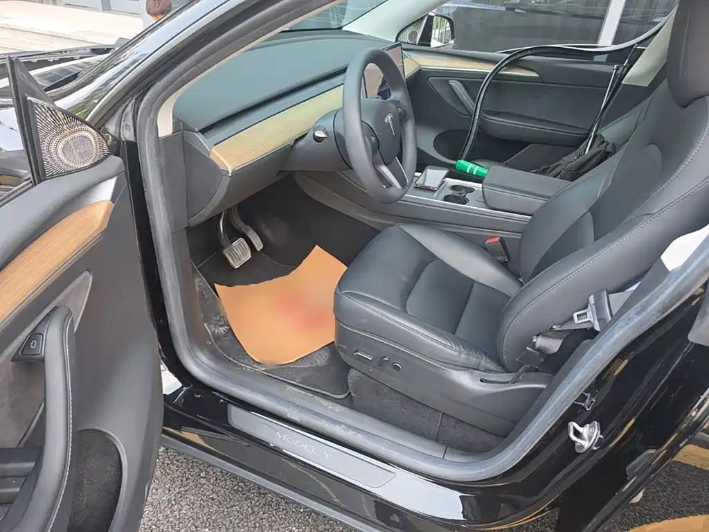 Tesla Model Y — миниатюра 15