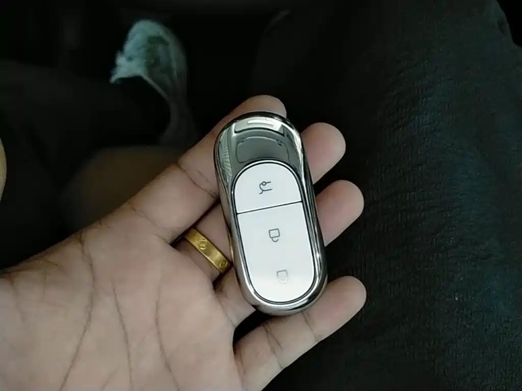 Leapmotor C11 2024 300 Premium