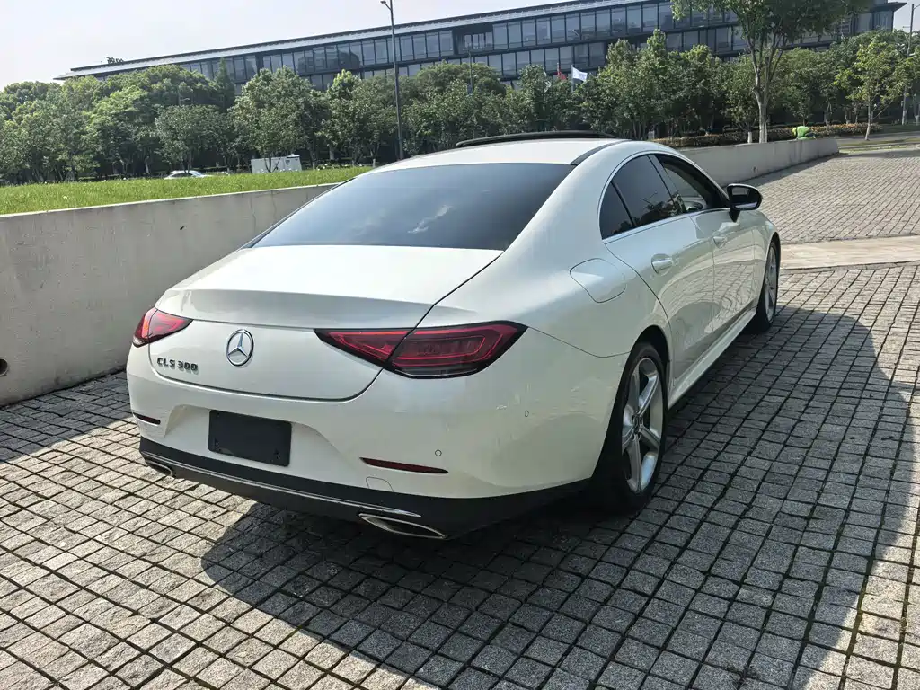 Mercedes-Benz CLS - фото 7