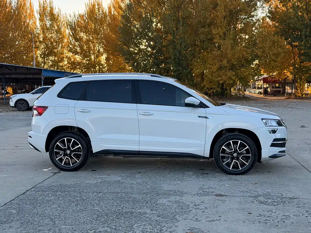 Skoda Karoq — миниатюра 4