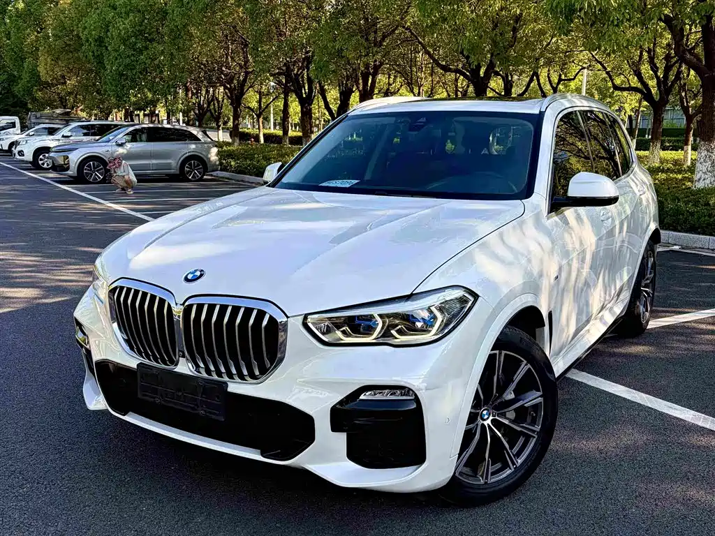 BMW X5 (Import) — миниатюра 2