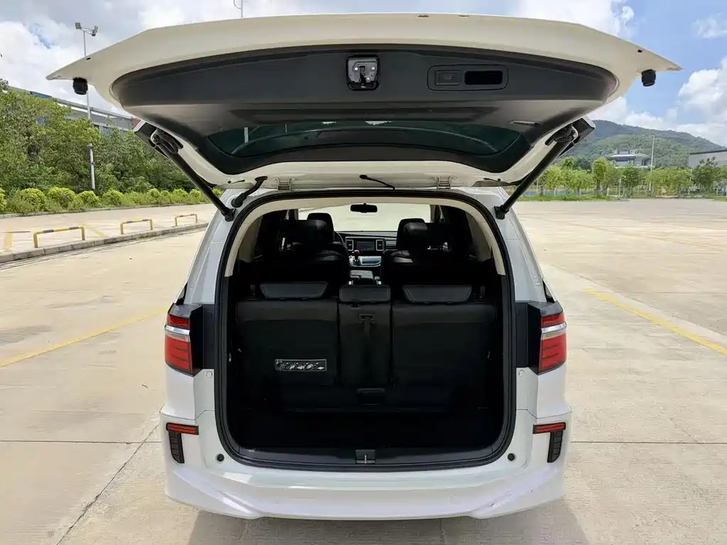 Honda Elysion — миниатюра 15