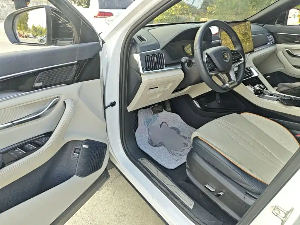 BYD PLUS New Energy — миниатюра 16
