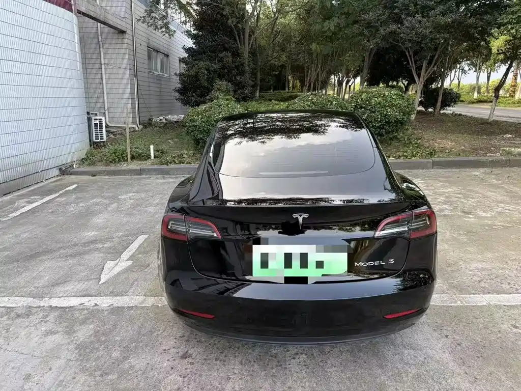 Tesla Model 3 — миниатюра 6