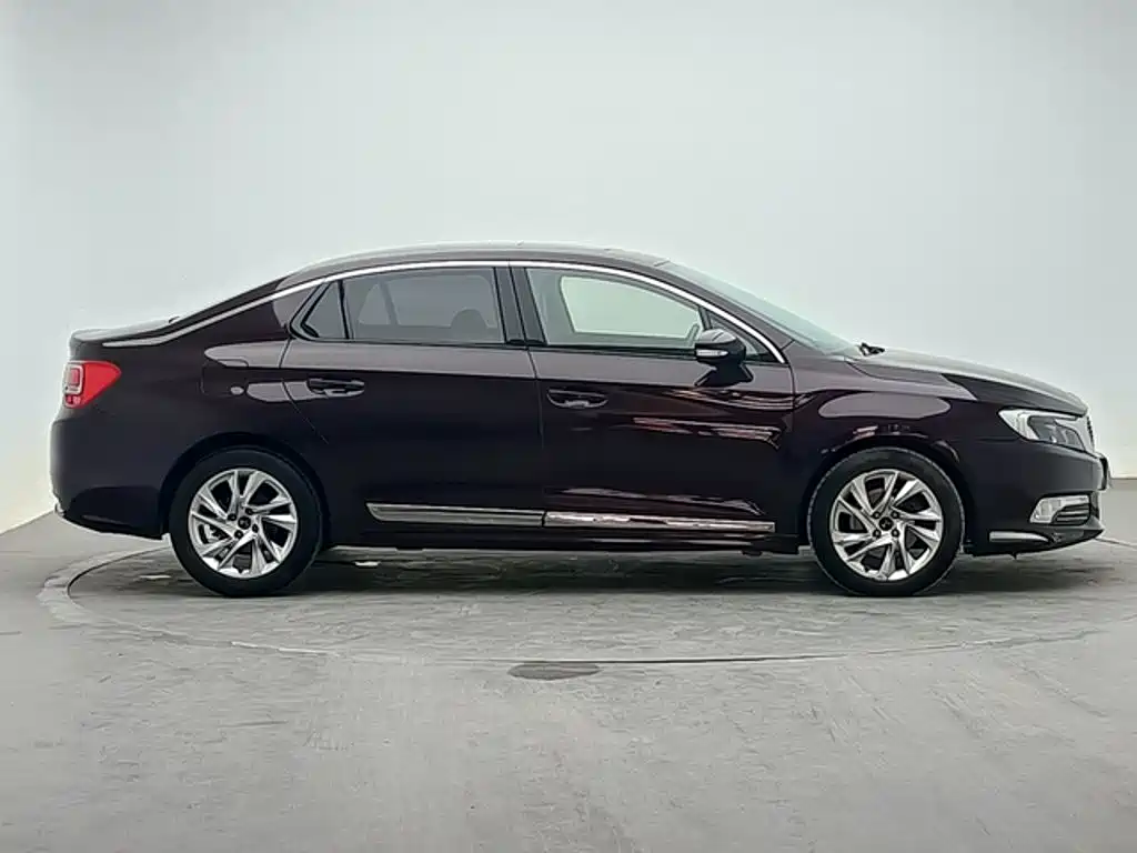 DS DS 5LS — миниатюра 3
