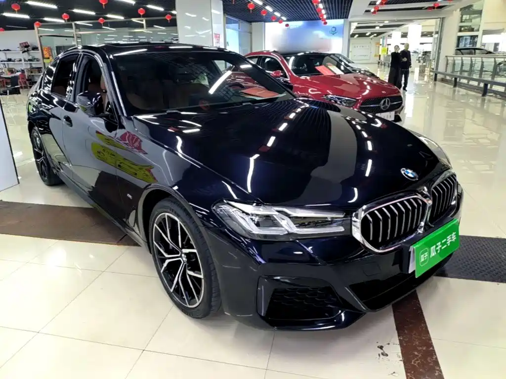 BMW 5 Series (Import) — миниатюра 4