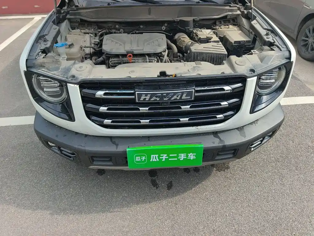 Haval Big Dog — миниатюра 21