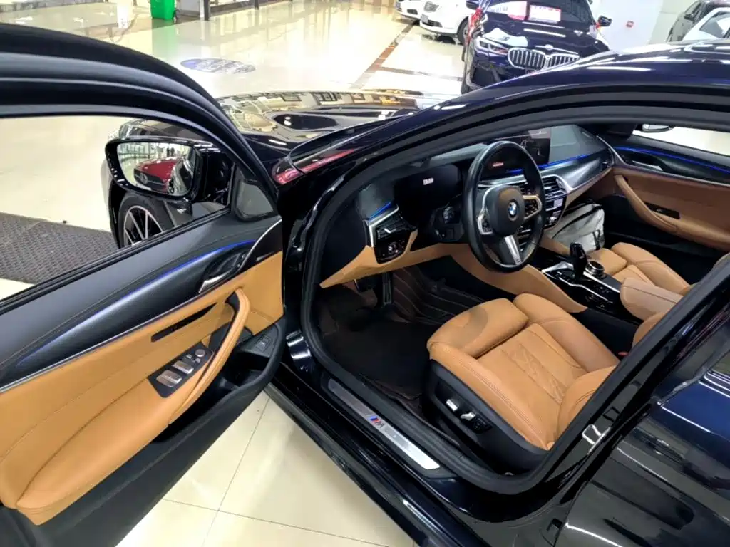 BMW 5 Series (Import) — миниатюра 16