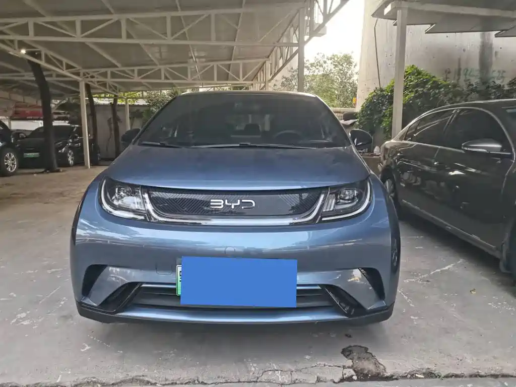 BYD Dolphin — миниатюра 2