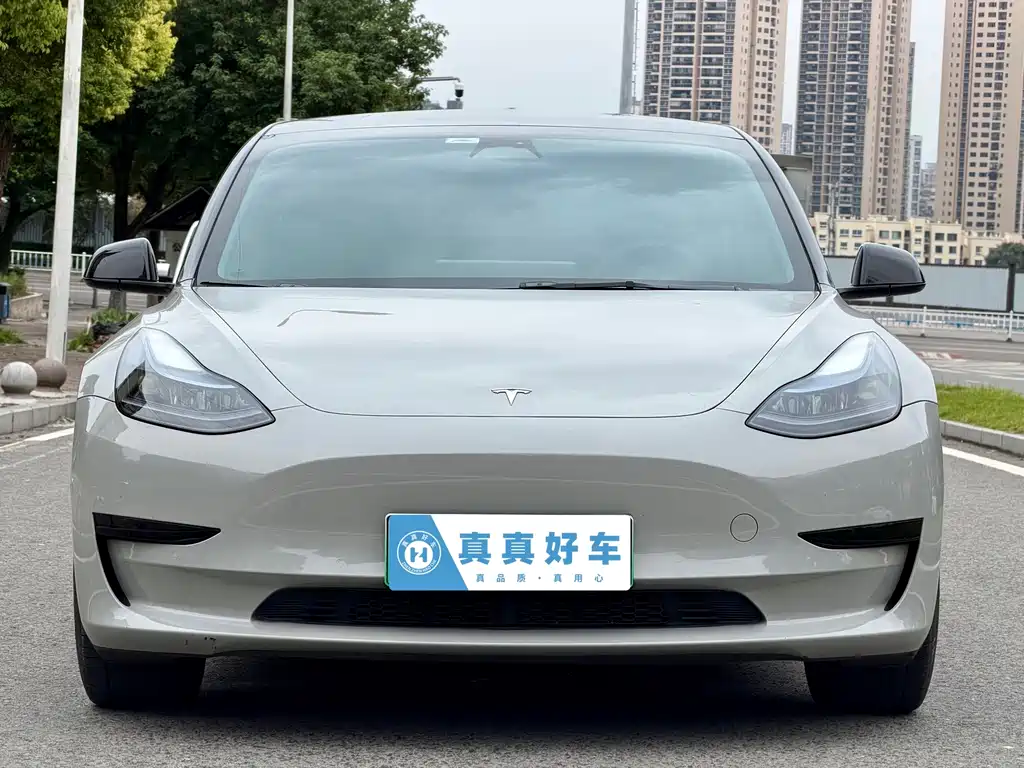 Tesla Model 3 — миниатюра 2