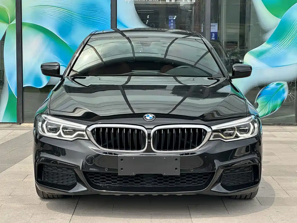 BMW 5 Series — миниатюра 2