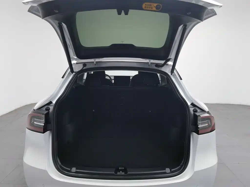 Tesla Model Y — миниатюра 16