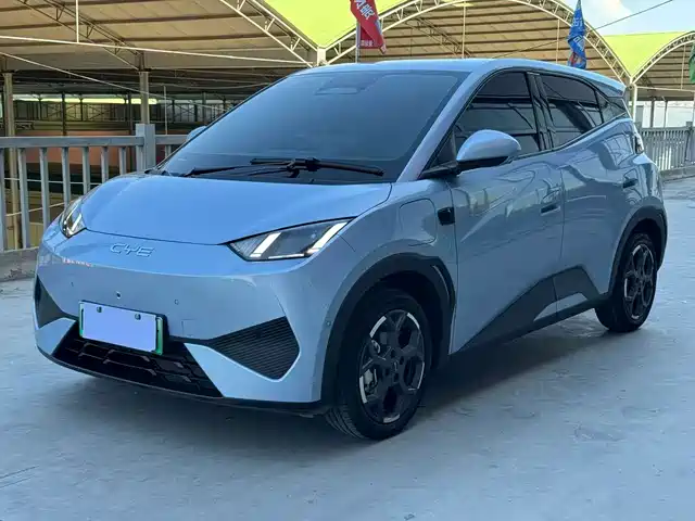 BYD 海鸥